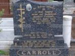 DSC07902 Carroll.jpg